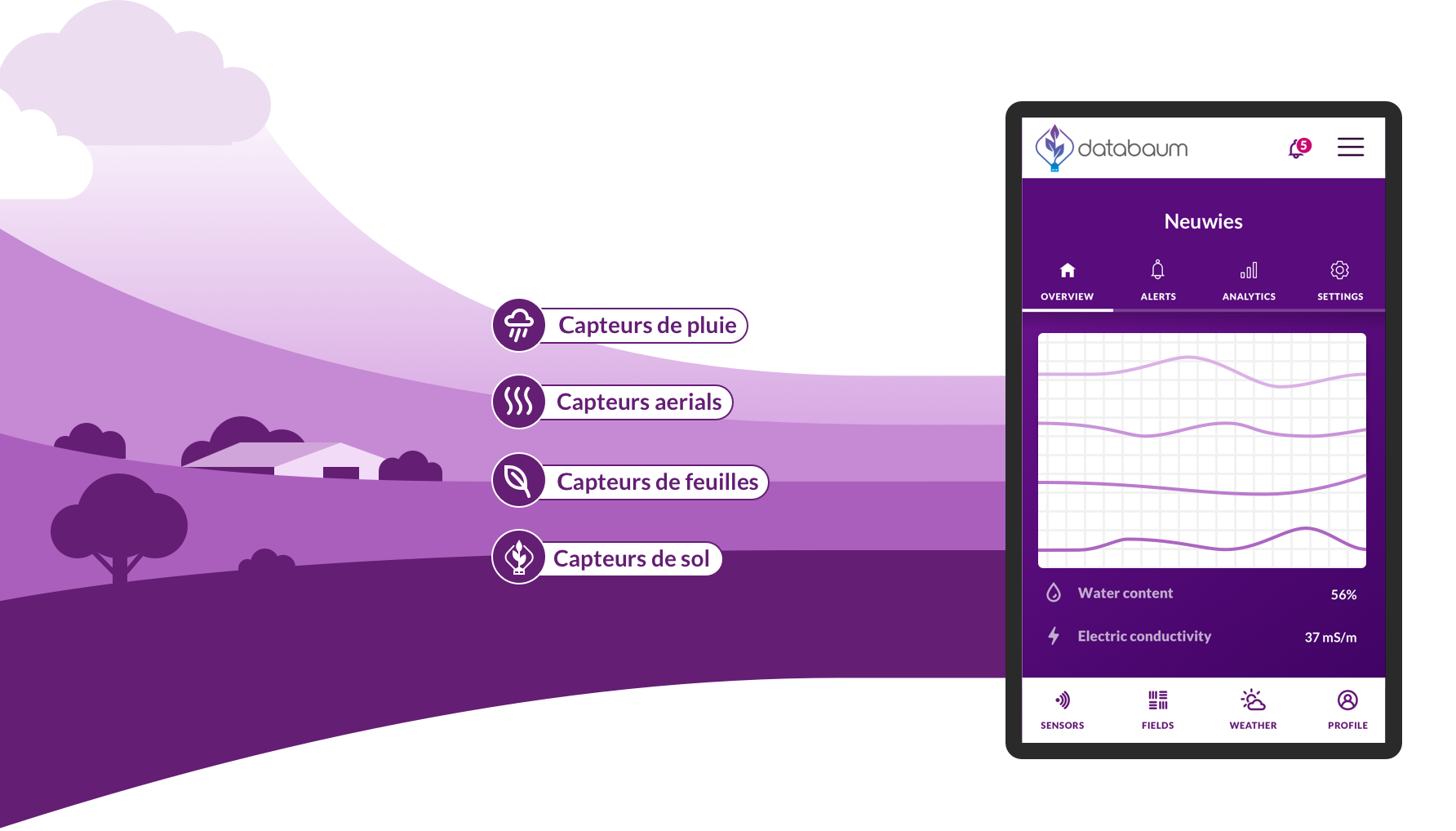 Image illustrating how databaum works